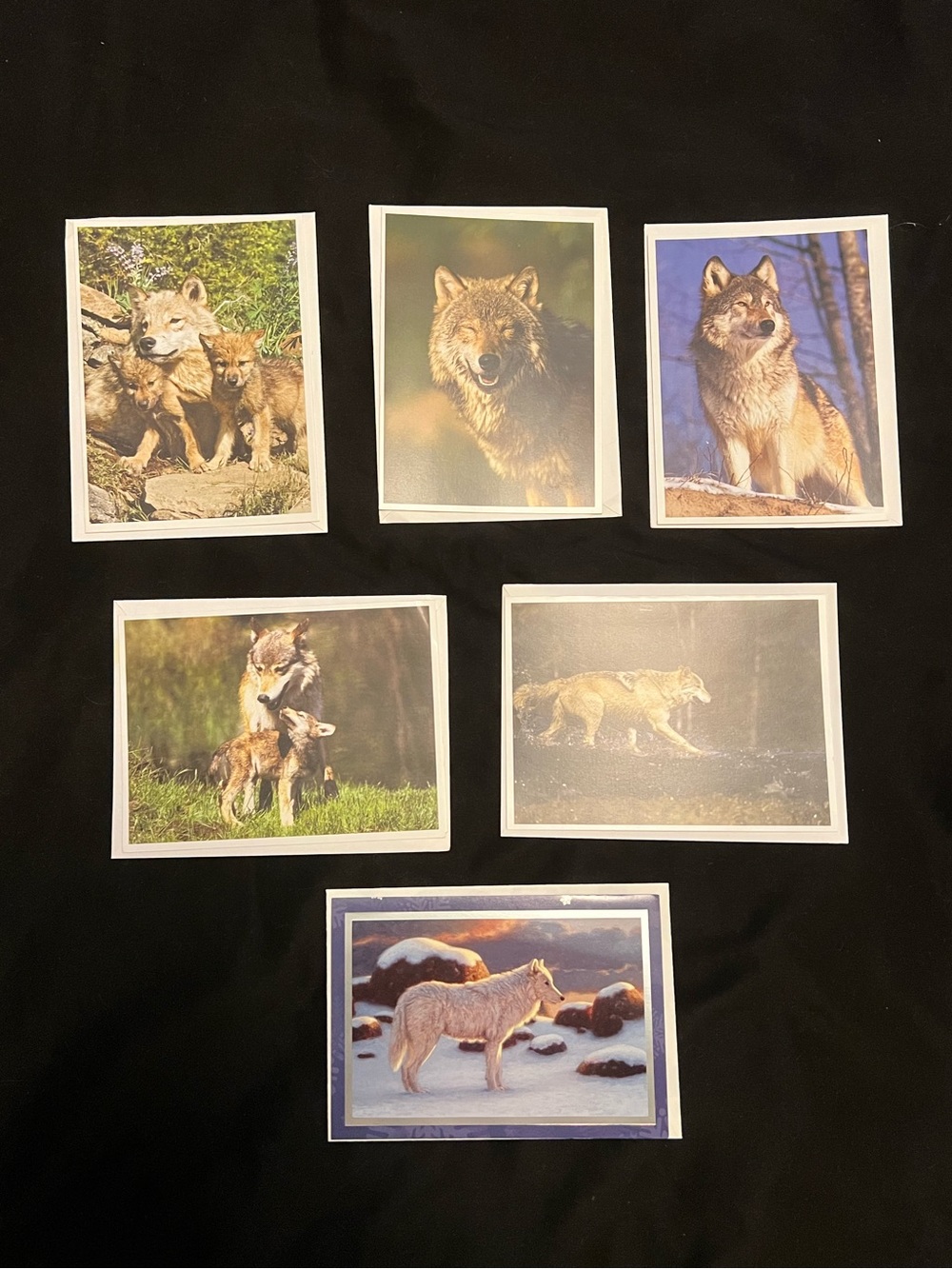 Wolf Greeting Card Bundle